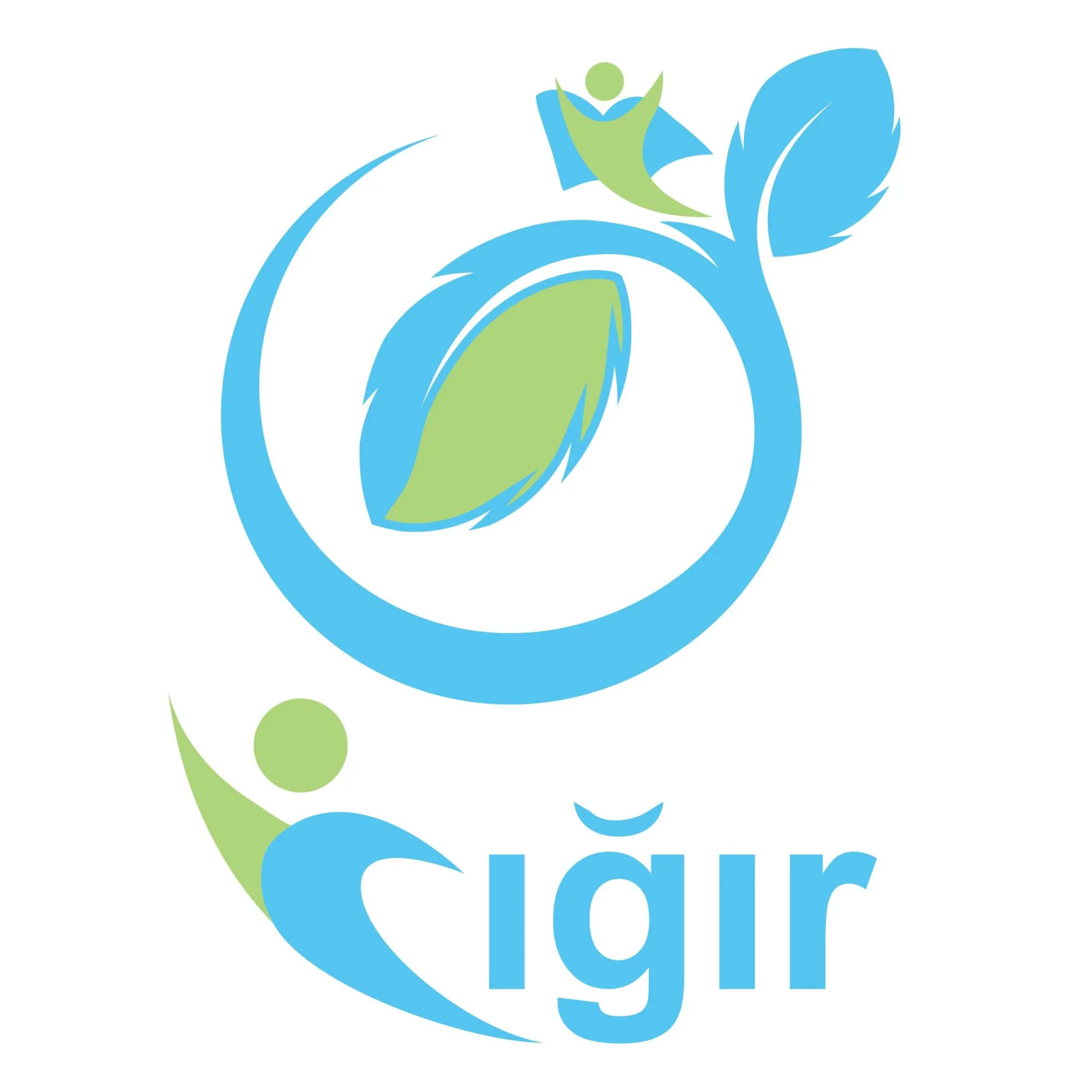 Cığır İctimai Birliyi